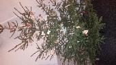 2015-12-16 Vno?n ?ten